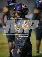 Photo from the gallery "Pine Forest @ Jack Britt"