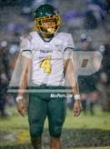 Photo from the gallery "Pine Forest @ Jack Britt"
