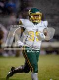 Photo from the gallery "Pine Forest @ Jack Britt"
