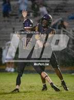 Photo from the gallery "Pine Forest @ Jack Britt"