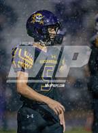 Photo from the gallery "Pine Forest @ Jack Britt"