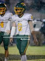 Photo from the gallery "Pine Forest @ Jack Britt"