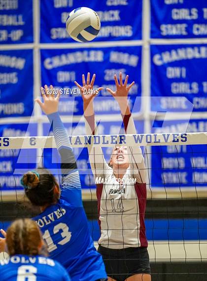 Thumbnail 3 in JV: Hamilton @ Chandler photogallery.