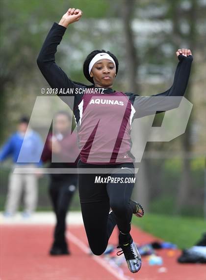 Thumbnail 1 in Royal Comet Invitational photogallery.
