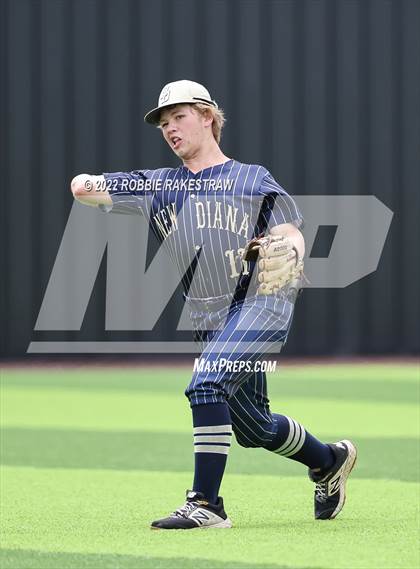 Thumbnail 1 in Crandall vs New Diana photogallery.