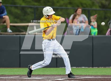 Thumbnail 2 in Crandall vs New Diana photogallery.