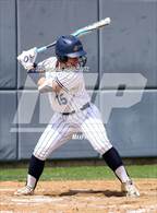 Photo from the gallery "Reedy @ Wakeland"