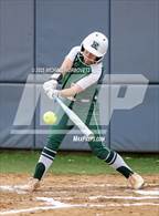 Photo from the gallery "Reedy @ Wakeland"