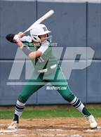 Photo from the gallery "Reedy @ Wakeland"