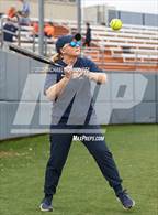 Photo from the gallery "Reedy @ Wakeland"