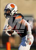 Photo from the gallery "Dexter @ Brighton"