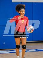 Photo from the gallery "North Forest @ Yates"