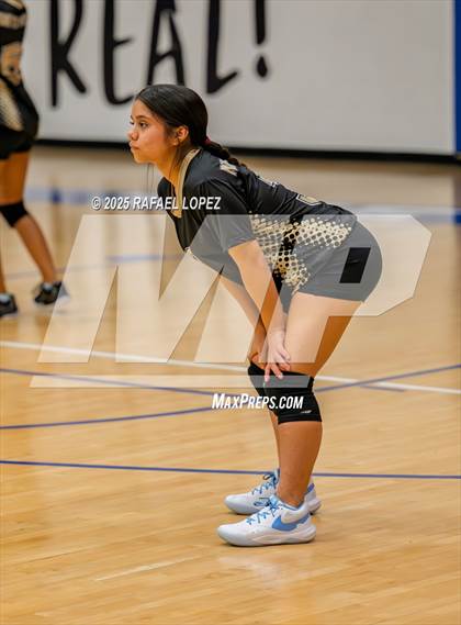 Thumbnail 2 in North Forest @ Yates photogallery.