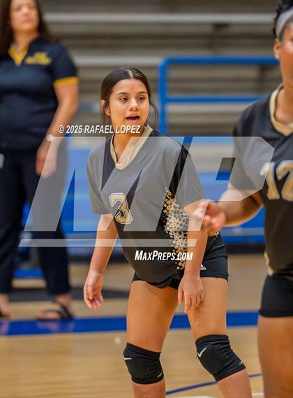 Thumbnail 1 in North Forest @ Yates photogallery.