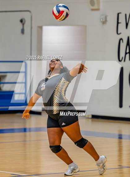 Thumbnail 1 in North Forest @ Yates photogallery.