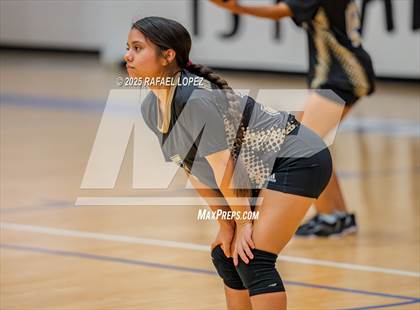 Thumbnail 2 in North Forest @ Yates photogallery.