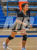 Photo from the gallery "North Forest @ Yates"