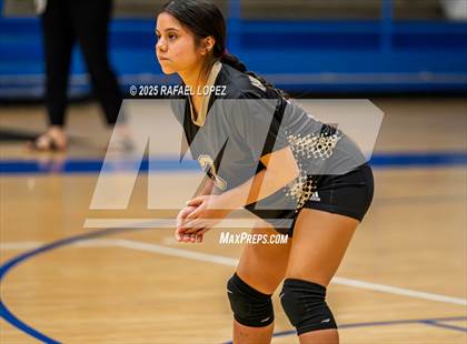 Thumbnail 2 in North Forest @ Yates photogallery.