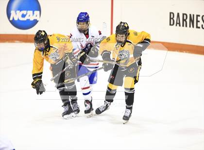 Thumbnail 1 in McQuaid Jesuit @ Fairport photogallery.