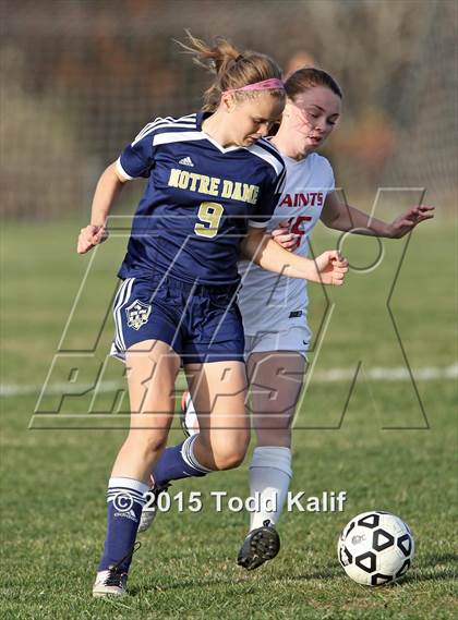 Thumbnail 1 in Notre Dame-Fairfield @ St. Bernard (CIAC Class M 1st Round) photogallery.