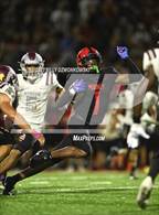 Photo from the gallery "Riverview Sarasota @ Cardinal Mooney"