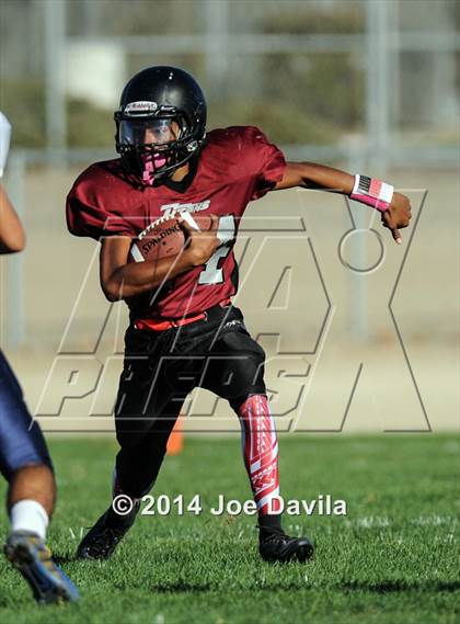Thumbnail 2 in Arroyo Grande @ Nipomo photogallery.