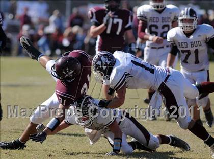 Thumbnail 2 in Benton vs. Red Bud (IHSA Class 3A First Round Playoff) photogallery.