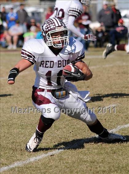 Thumbnail 1 in Benton vs. Red Bud (IHSA Class 3A First Round Playoff) photogallery.