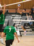 Photo from the gallery "Sheldon @ Kennedy"