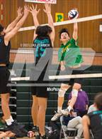 Photo from the gallery "Sheldon @ Kennedy"