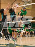 Photo from the gallery "Sheldon @ Kennedy"