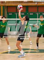 Photo from the gallery "Sheldon @ Kennedy"