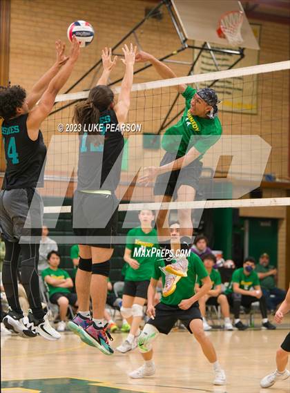 Thumbnail 2 in Sheldon @ Kennedy photogallery.