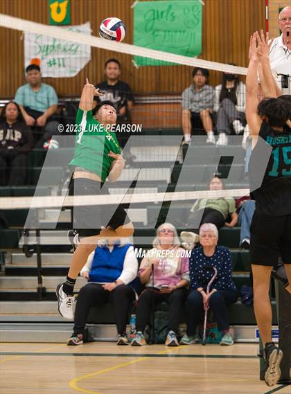 Thumbnail 2 in Sheldon @ Kennedy photogallery.
