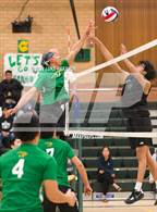 Photo from the gallery "Sheldon @ Kennedy"