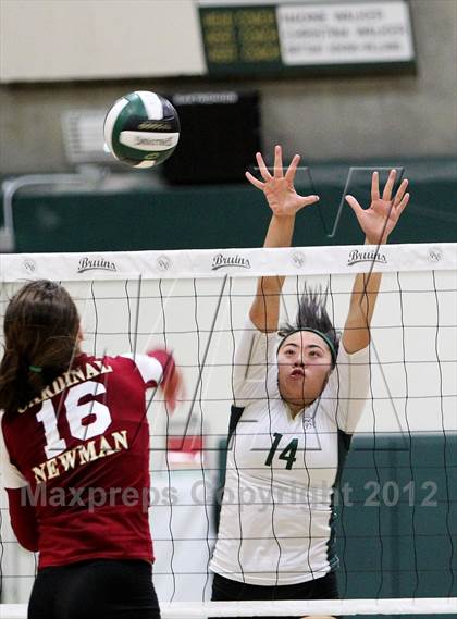 Thumbnail 3 in Cardinal Newman @ St. Patrick/St. Vincent (CIF NCS D4 Final) photogallery.