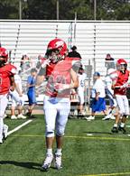 Photo from the gallery "Alameda @ Jefferson"