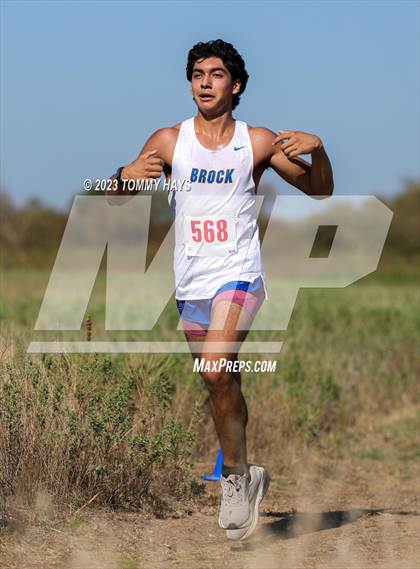 Thumbnail 1 in Brock Cross Country Meet  photogallery.