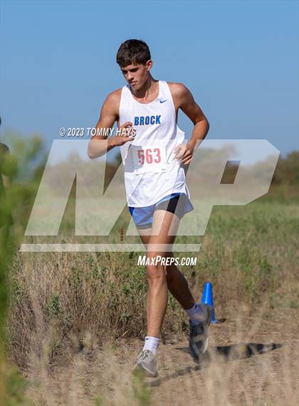 Thumbnail 2 in Brock Cross Country Meet  photogallery.