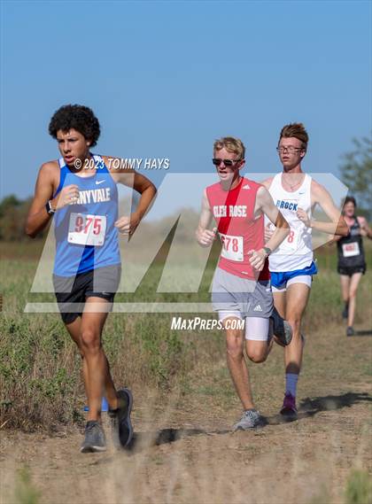 Thumbnail 1 in Brock Cross Country Meet  photogallery.