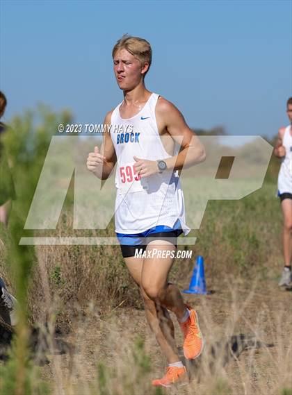 Thumbnail 2 in Brock Cross Country Meet  photogallery.