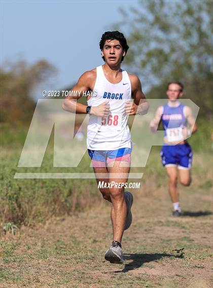 Thumbnail 2 in Brock Cross Country Meet  photogallery.