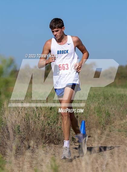 Thumbnail 1 in Brock Cross Country Meet  photogallery.