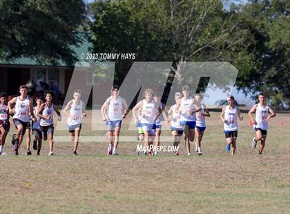 Thumbnail 3 in Brock Cross Country Meet  photogallery.