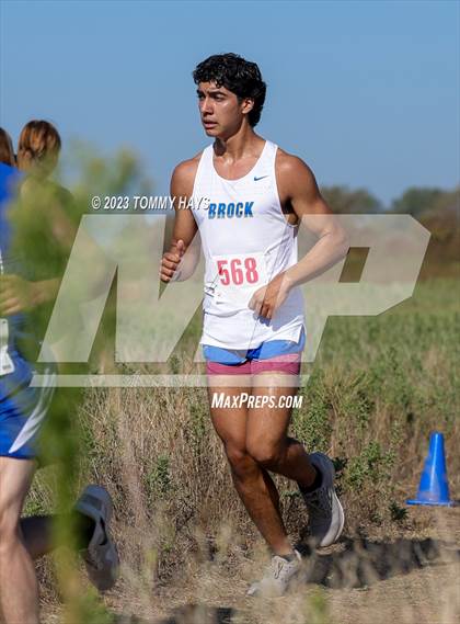 Thumbnail 1 in Brock Cross Country Meet  photogallery.