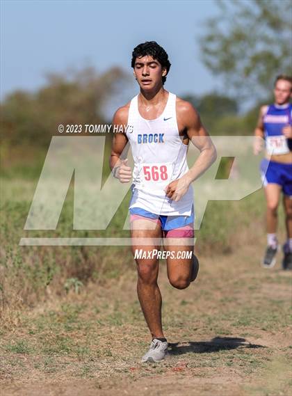 Thumbnail 1 in Brock Cross Country Meet  photogallery.