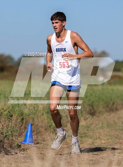 Thumbnail 2 in Brock Cross Country Meet  photogallery.