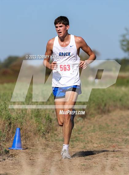Thumbnail 1 in Brock Cross Country Meet  photogallery.