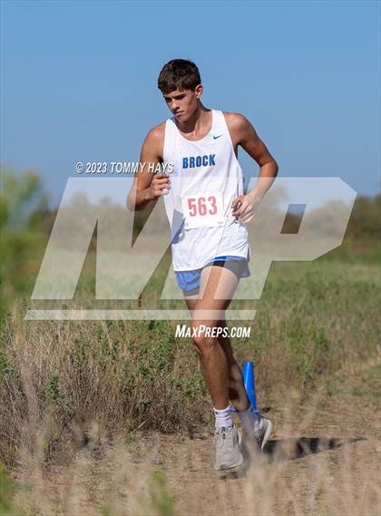 Thumbnail 3 in Brock Cross Country Meet  photogallery.