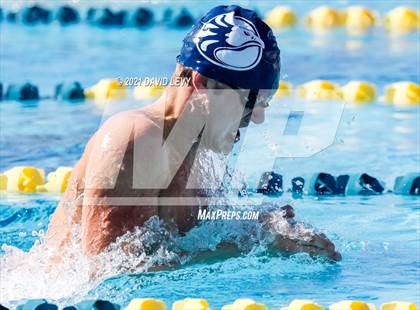 Thumbnail 1 in AIA D2 Swim Finals photogallery.